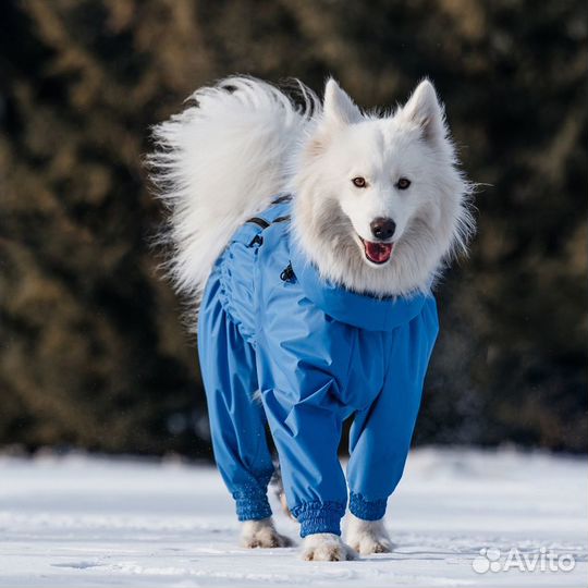 Комбинезон для собаки