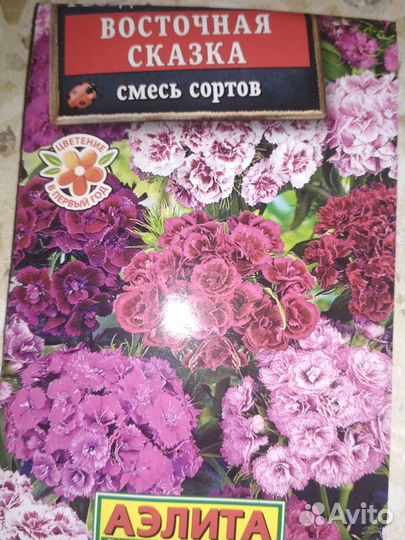 Гвоздика,примула белая