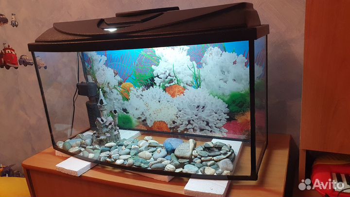 Аквариум террариум