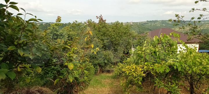 Участок 4,5 сот. (СНТ, ДНП)