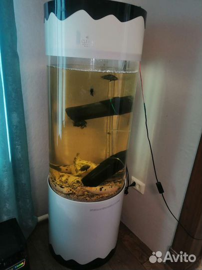 Аквариум