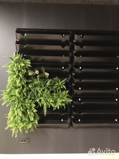 Фитомодуль