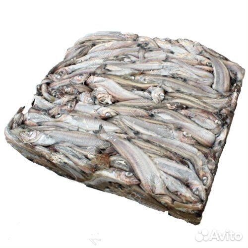 Рыба Путассу 25+ свежемороженая