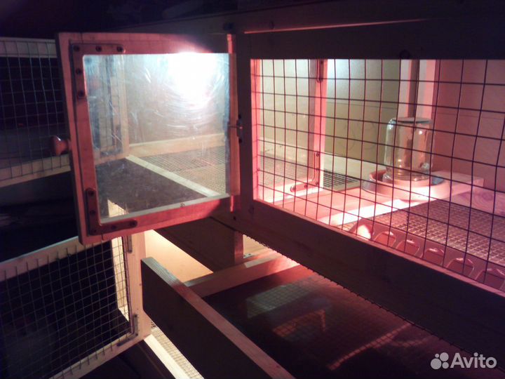 Брудер для подращивания