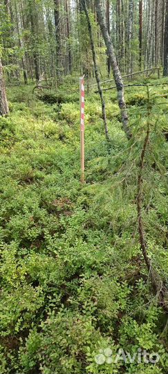 Рубщики деревьев