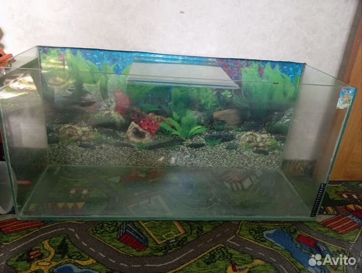 Аквариум