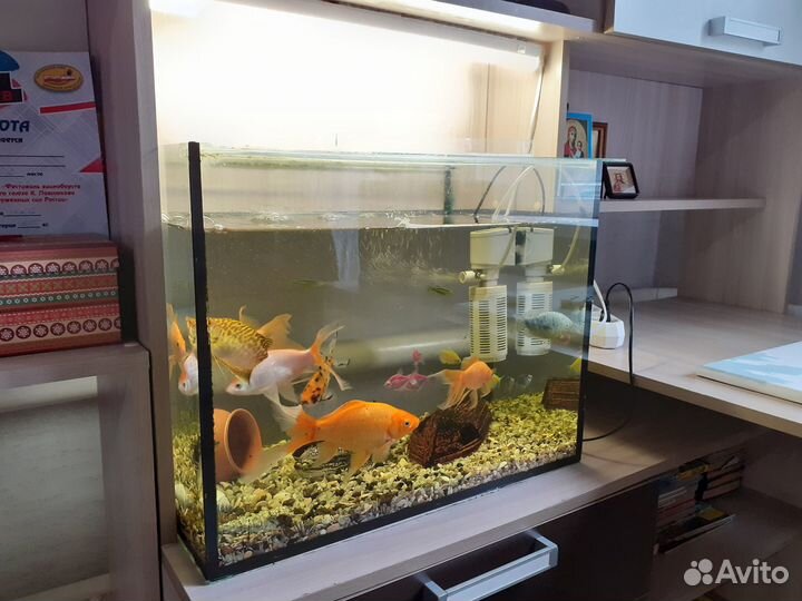 Аквариум с рыбками