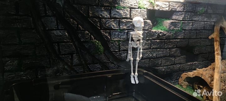 Фон для террариума 80*30