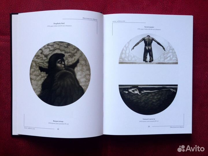 Николай Седнин 