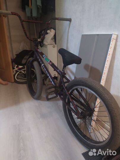 Bmx grasshopper