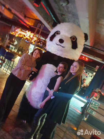 Поздравление BIG панда