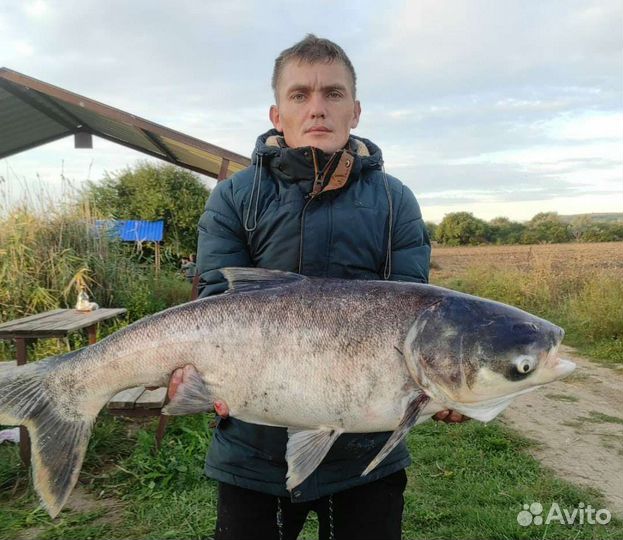 Технопланктон