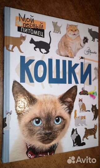 Книга : мой первый питомец кошки