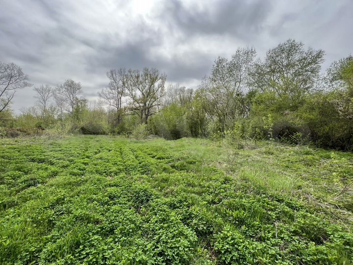 Участок 80 сот. (СНТ, ДНП)