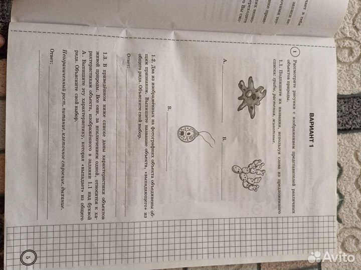 Впр по биологии 5 класс