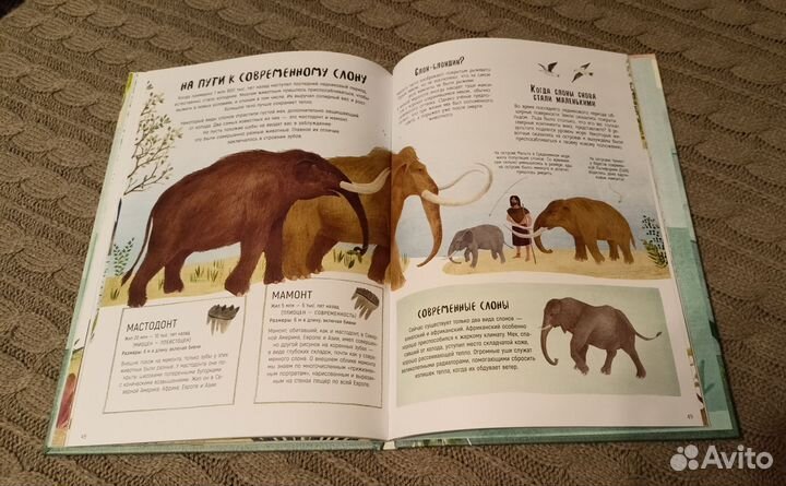 Книги о животных для детей