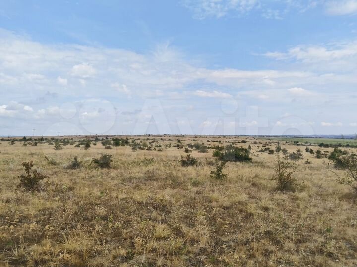 Участок 7 га (СНТ, ДНП)