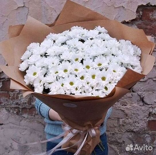 Хризантема