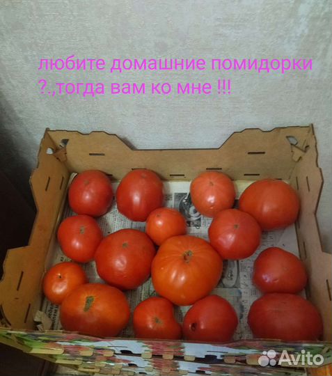 Домашние очень вкусные,выращенные для себя