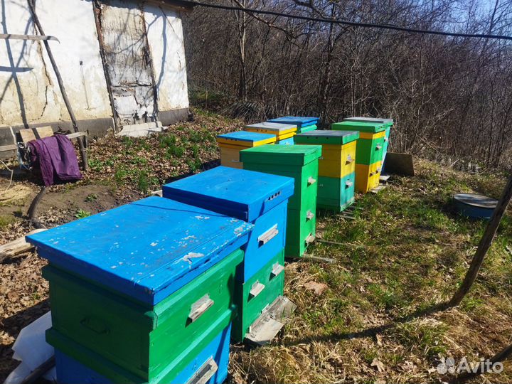 Улей для пчел бу