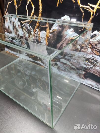 Аквариум 60 л без крышки