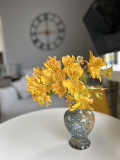 Квартира-студия, 23 м², 3/6 эт.