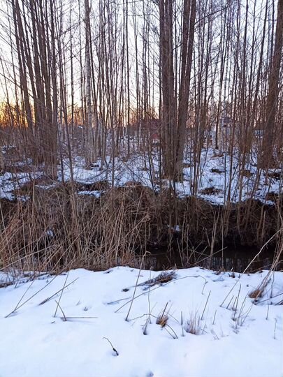 Участок 12 сот. (СНТ, ДНП)