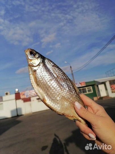 Рыбка вяленая, копченая, балыки