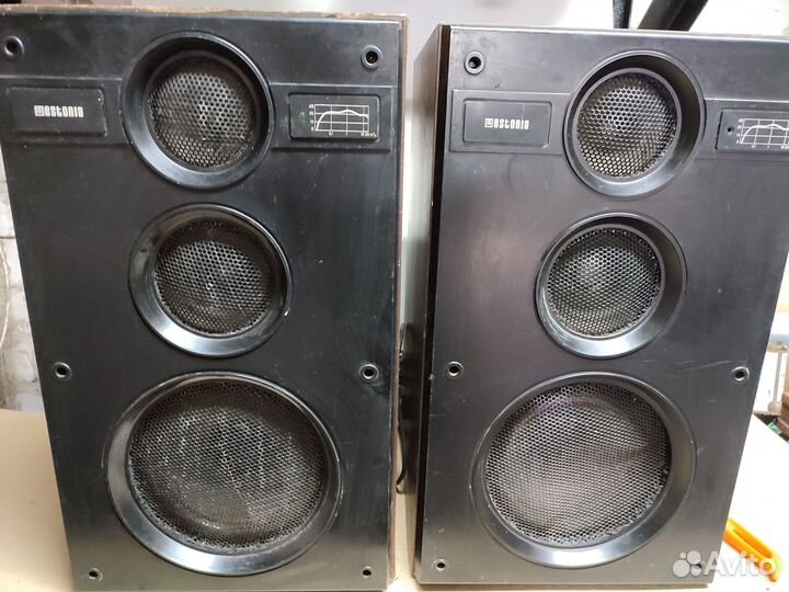 Акустическая система Estonia 25AC-311