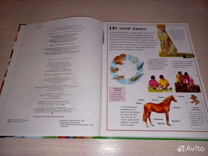 Энциклопедия для детей