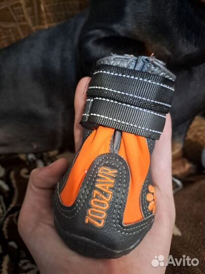 Ботиночки(собачьи)