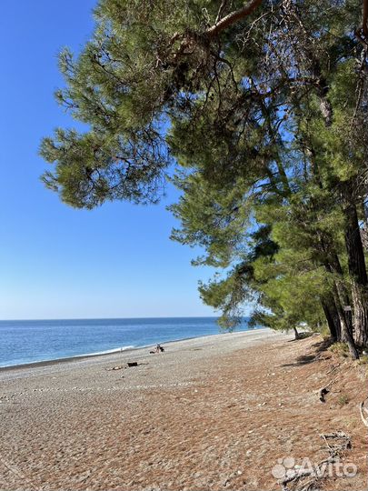 Экскурсии в Абхазию