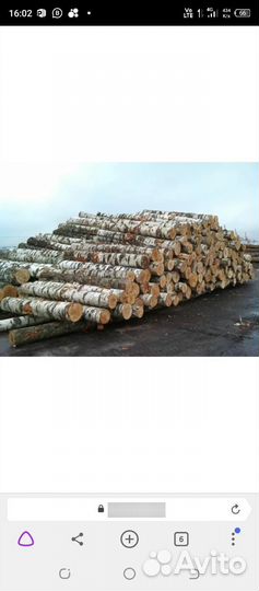 Срубы по 4тр кв м ищу оптовика