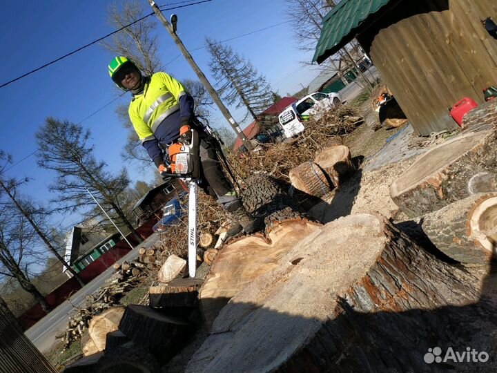 Камешковский р-н. Спилить дерево.Опиловка деревьев