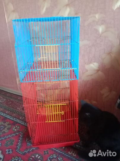 Клетка для грызунов очень большая