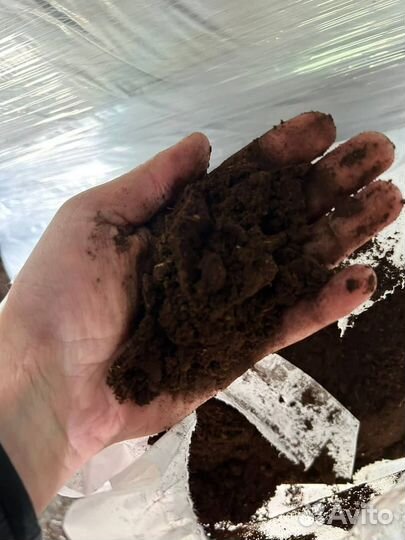 Торф универсальный 70 литров