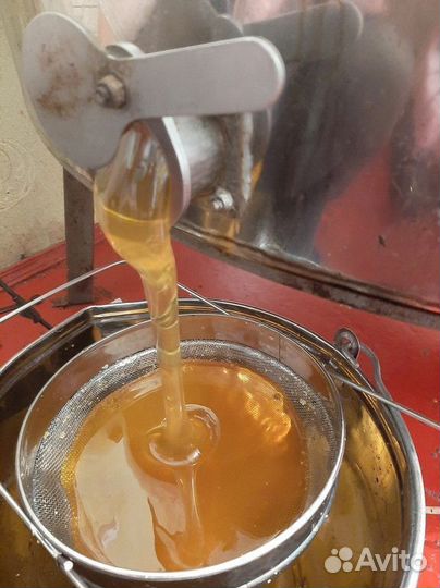 Свежий мёд Разнотравье светлое Качка 2023 г опт