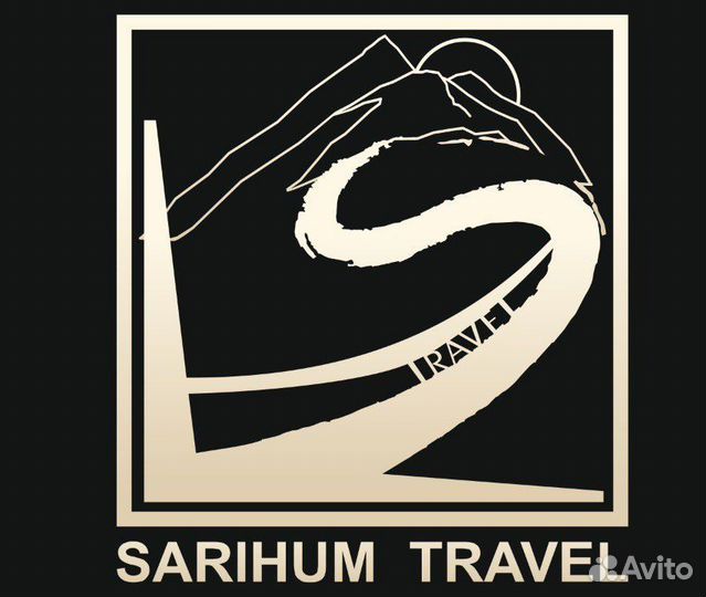 Пассажирские перевозки, микроавтобус