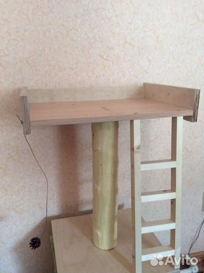 Когтеточка