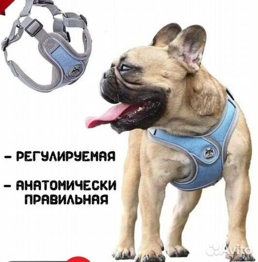 Шлейка для собаки