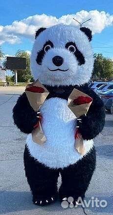 Гигантский Мишка, поздравление, аниматоры, шары