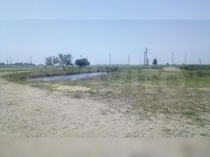 Животноводческая ферма 22 га в с. Грушевское