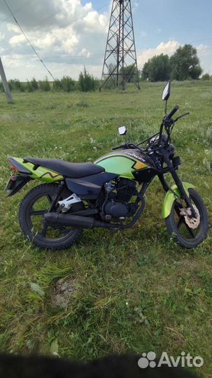 Racer Tiger 150-23
