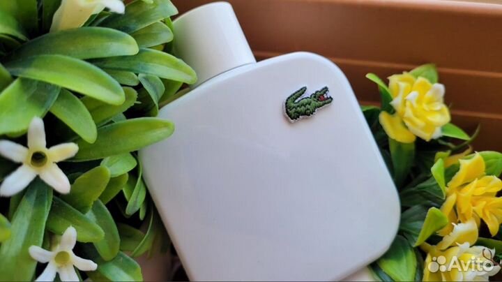 Рени 213 Lacoste 100 мл