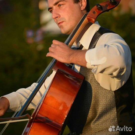 Музыкант на свадьбу/юбилей