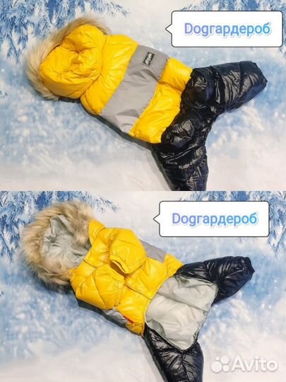 Зимний комбинезон для собак