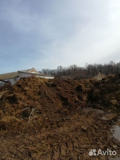 Навоз перегной коровий