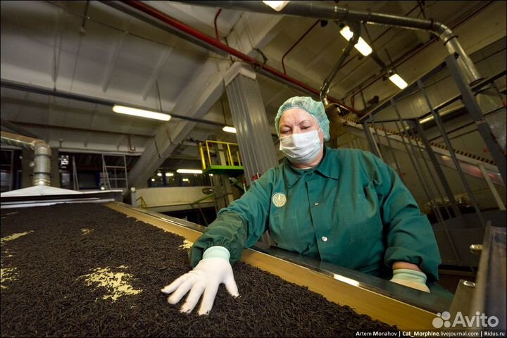 Упаковщица(к) кофе вахта московская область