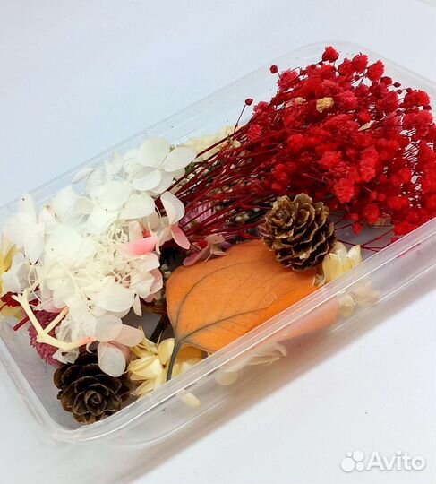 Сухоцветы, сушеные цветы для свечей