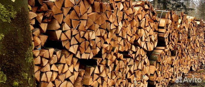 Дрова крупноколотые